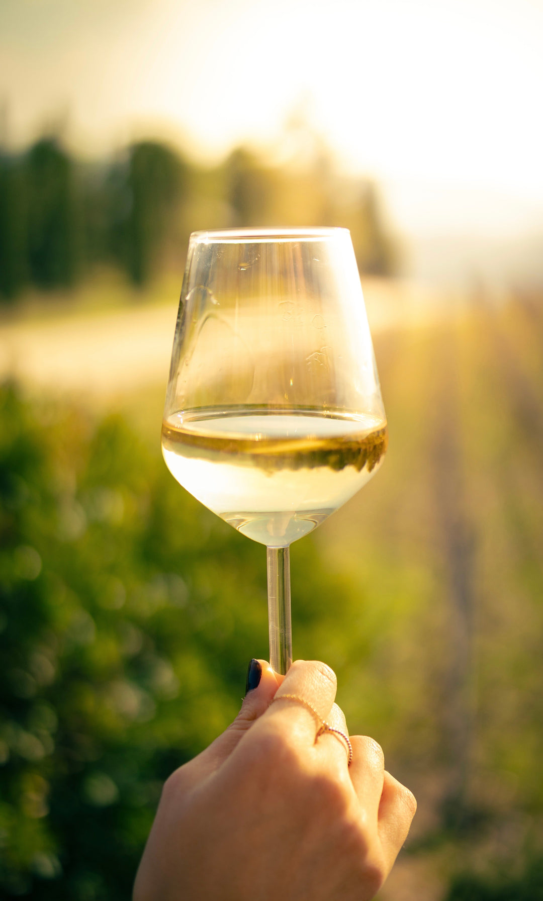 Quels vins boire bien frais cet été ?